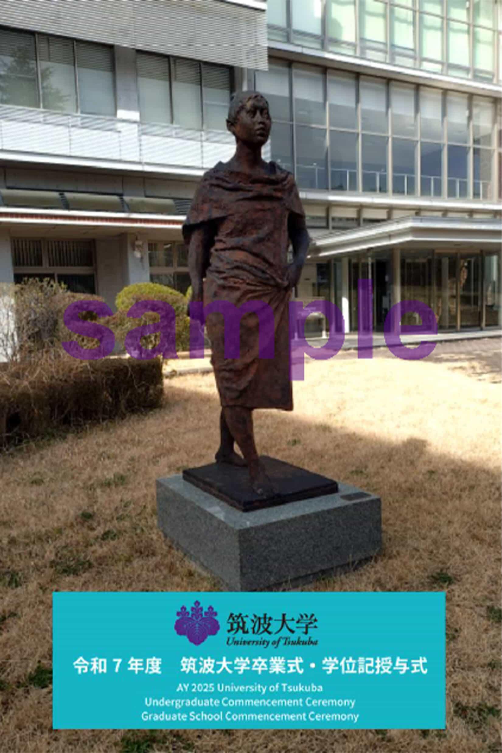 ARサンプル画像