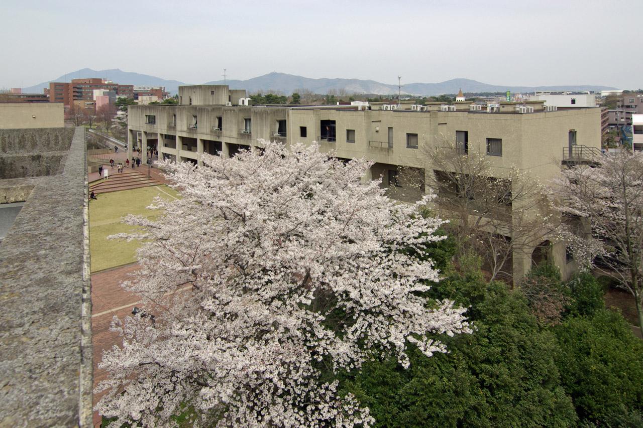 筑波大学宿泊施設のご案内 筑波大学