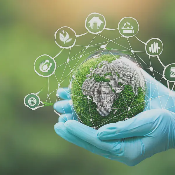 School of Life and Environmental Sciences