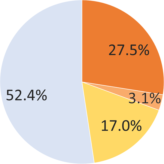 Career Paths of International Students by Level of Education