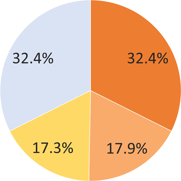 Career Paths of International Students by Level of Education