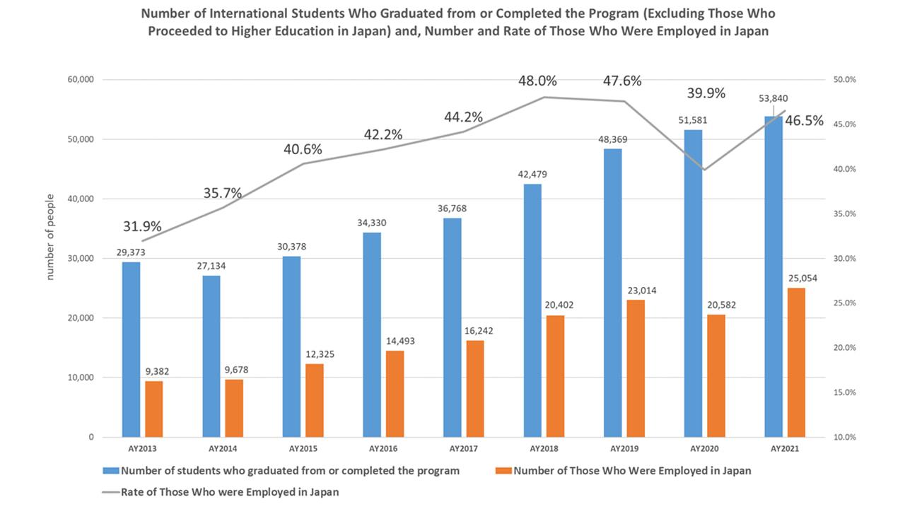 Career Paths of International Students by Level of Education