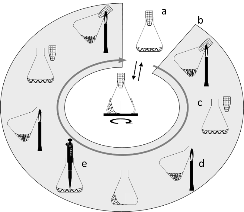 A Shake-Up in Cell Culturing: Flame Sterilization May Affect the Culture