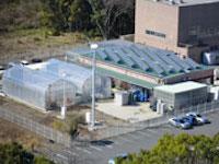 The Algae Biomass and Energy System R&D Center (ABES)