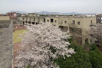University Guest House (University Hall)