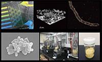 Microbiology Research Center for Sustainability (MiCS)