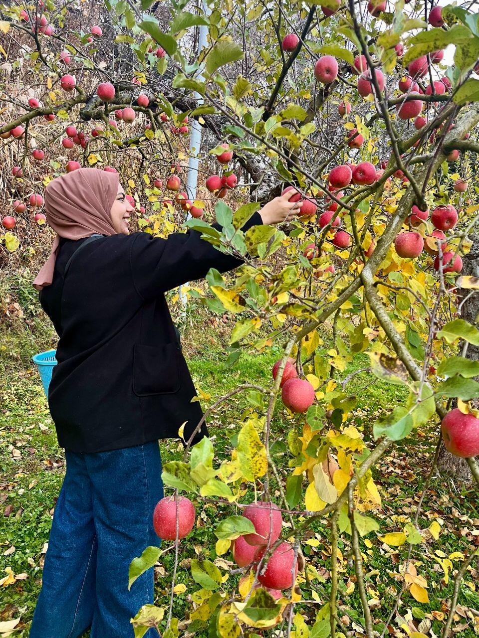 RIYAM MOTEA AL-RAABEA