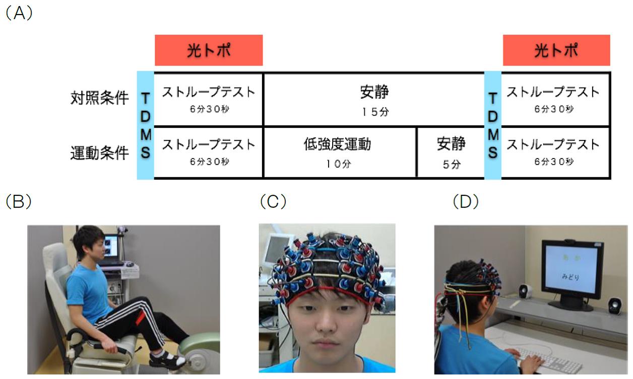 機能 実行