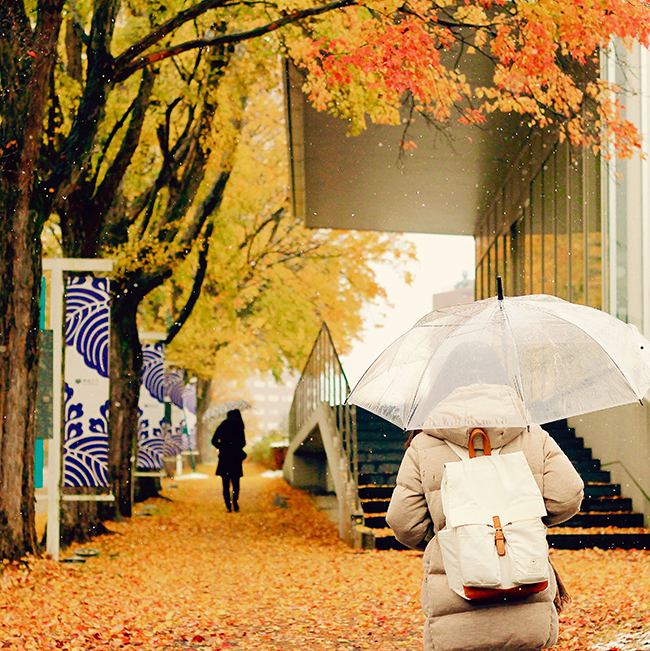 「Snowy Day in Autumn」　Dini Aiko Subiyantoro（人間総合科学研究科）