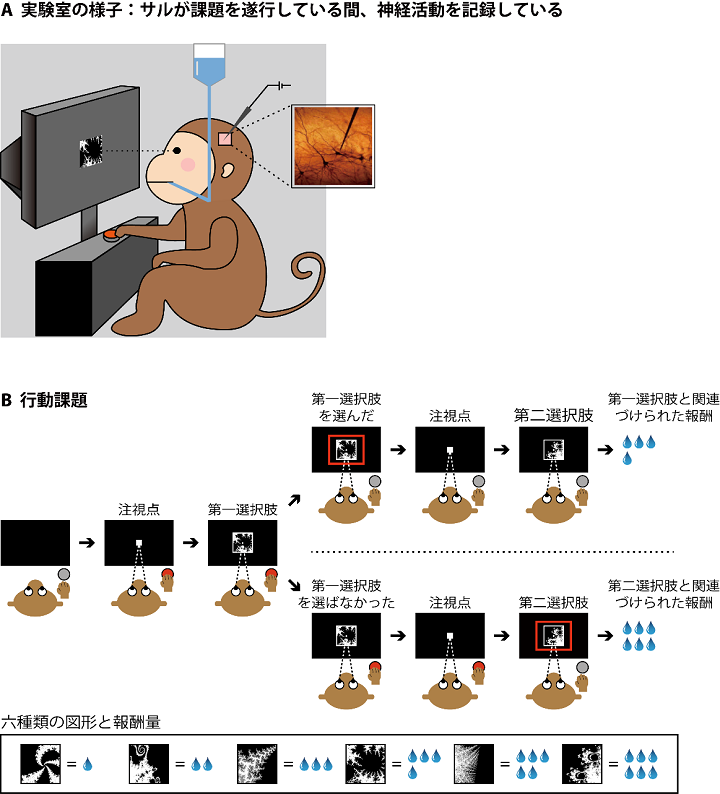 実験室の様子と行動課題