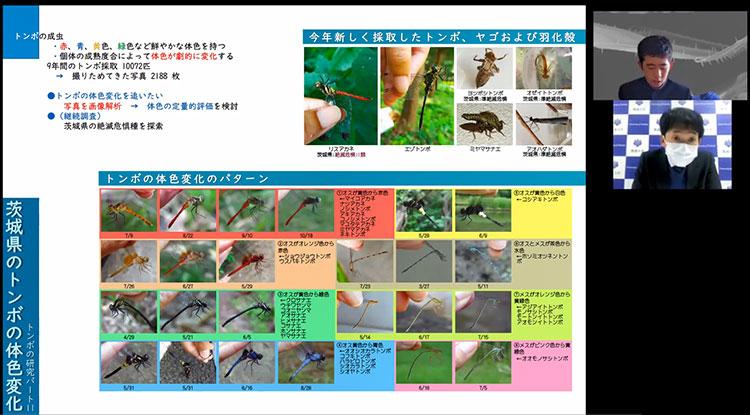 発表会の様子