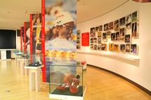 P.E. and Sport Exhibition