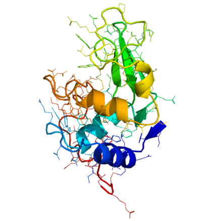 タンパク質に潜むフラクタル構造