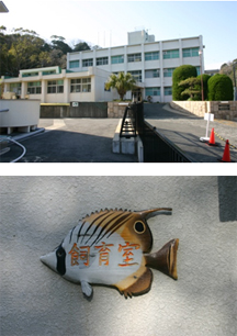 下田臨海実験センター。看板も海の生き物がモチーフ