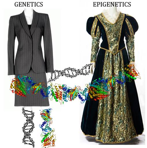 エピジェネティクスが起るとスーツがドレスに!?