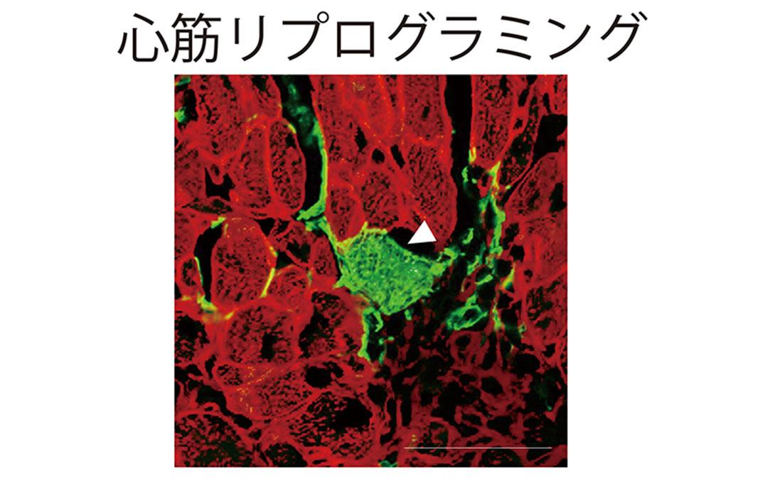 研究イメージ画像