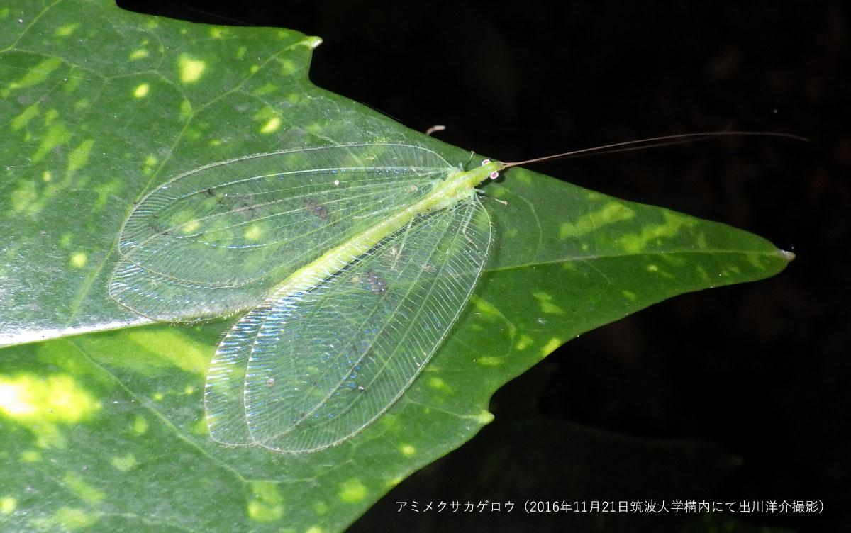 研究イメージ画像