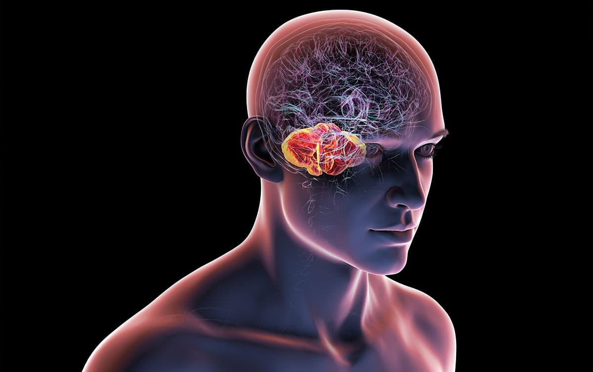 研究イメージ画像