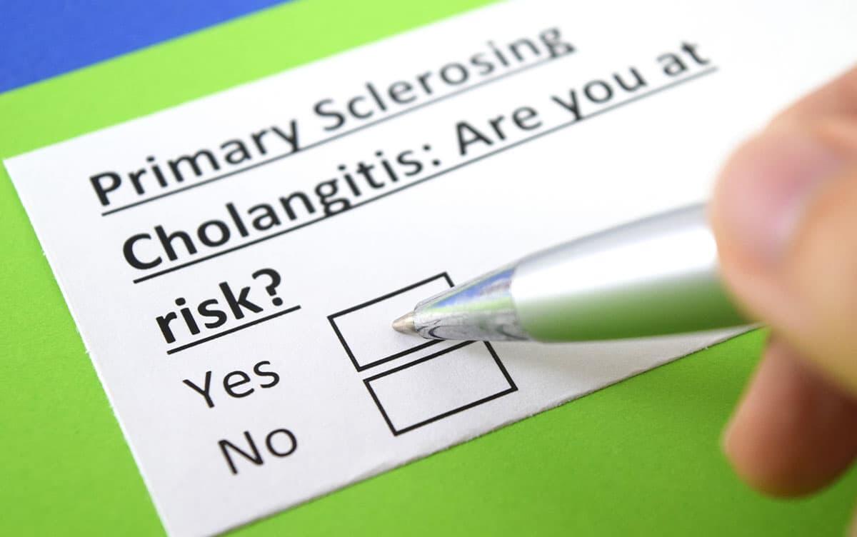 研究イメージ画像