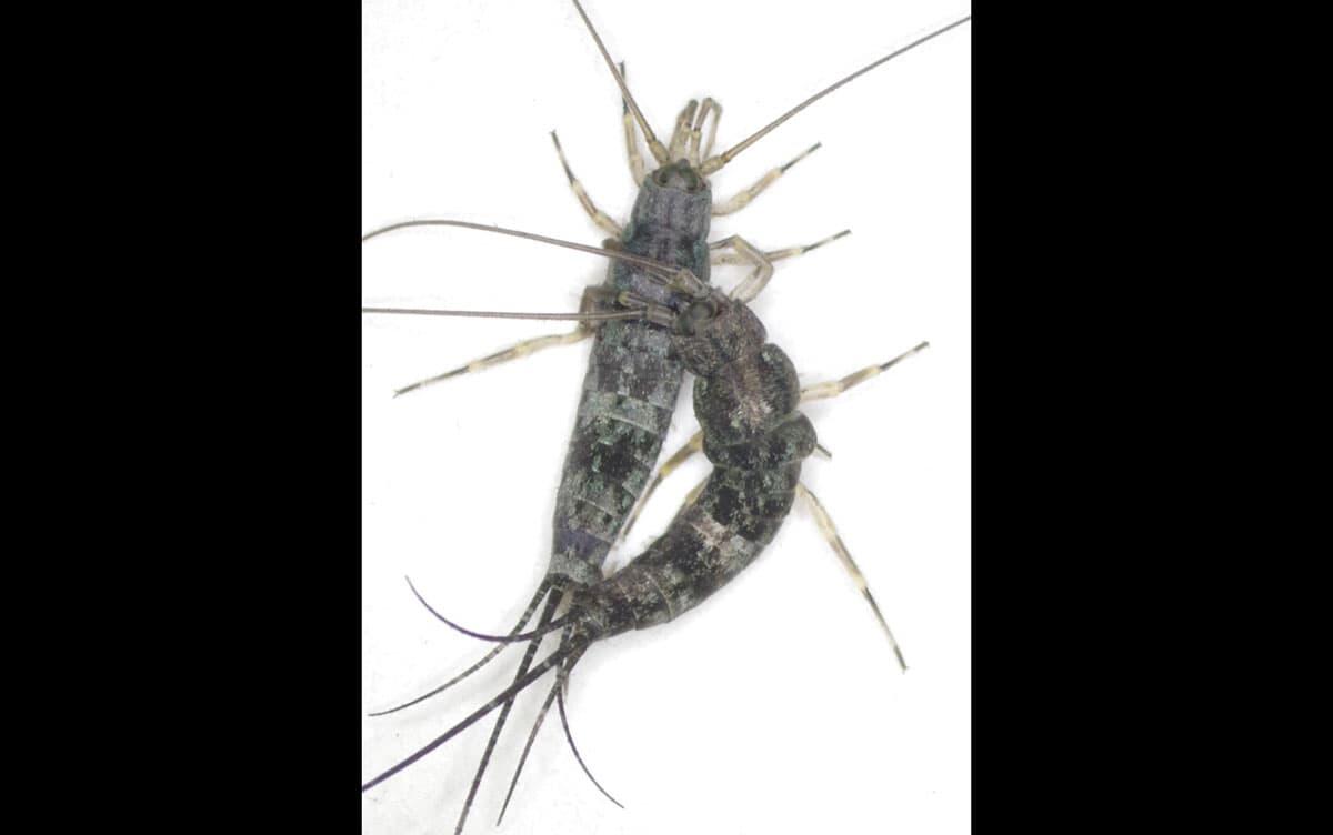 研究イメージ画像