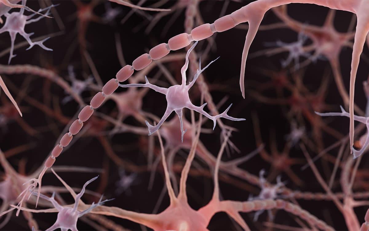 研究イメージ画像