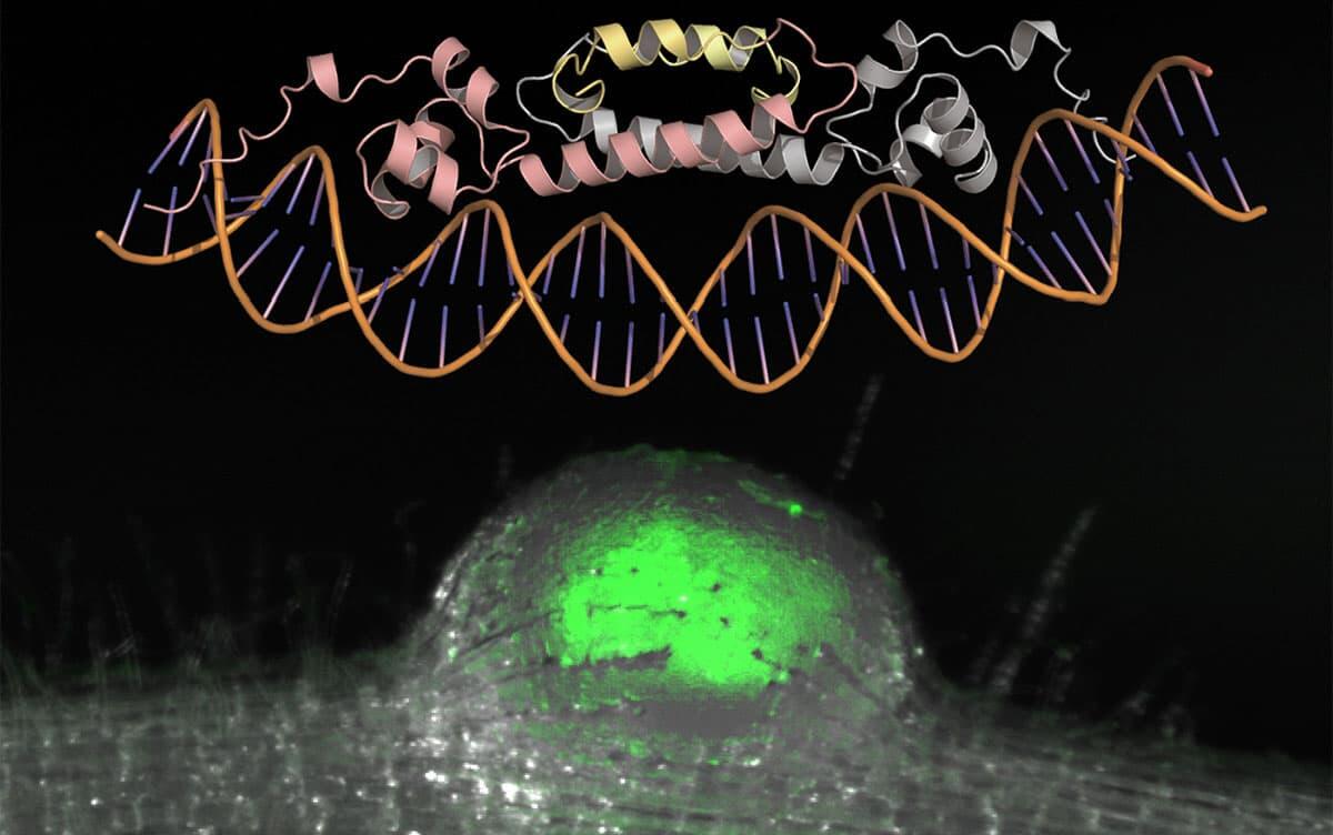研究イメージ画像