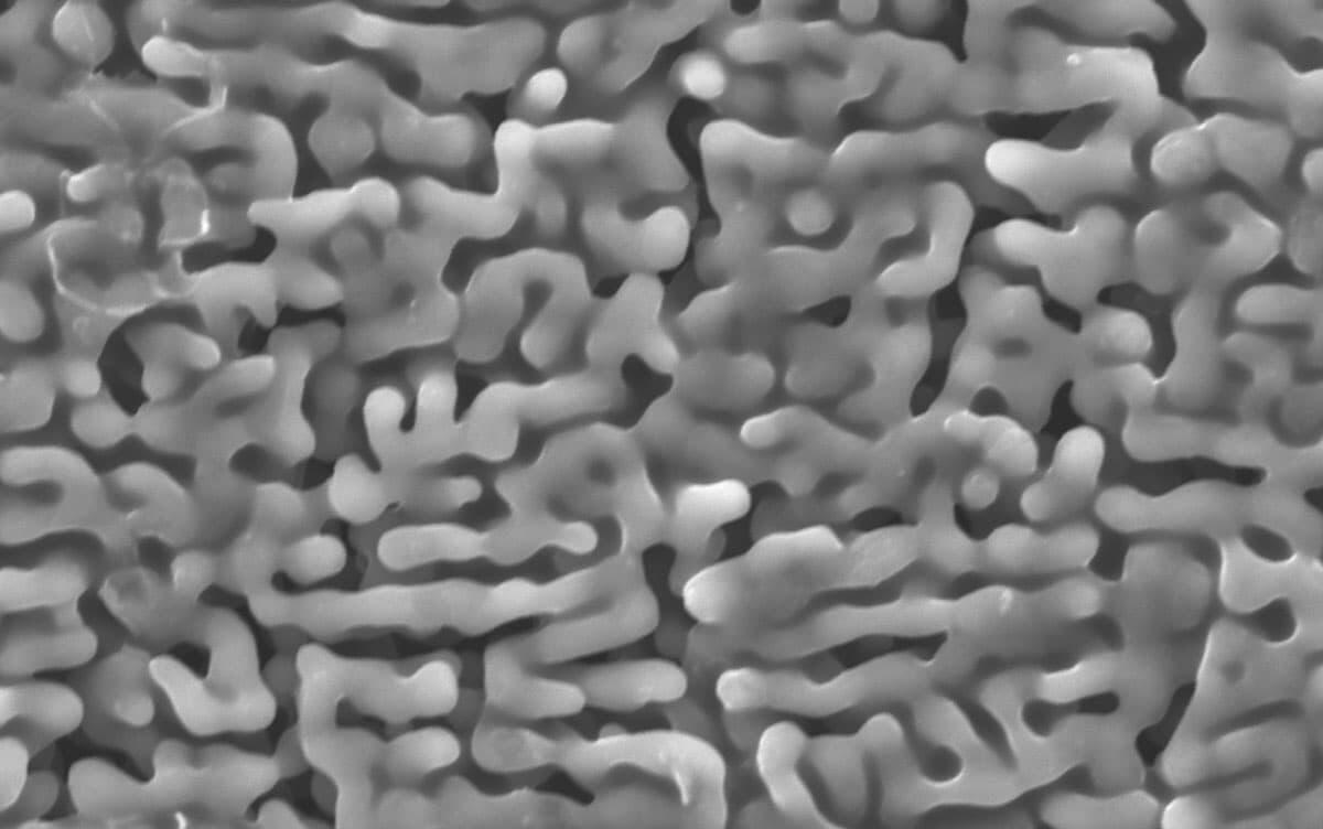 研究イメージ画像