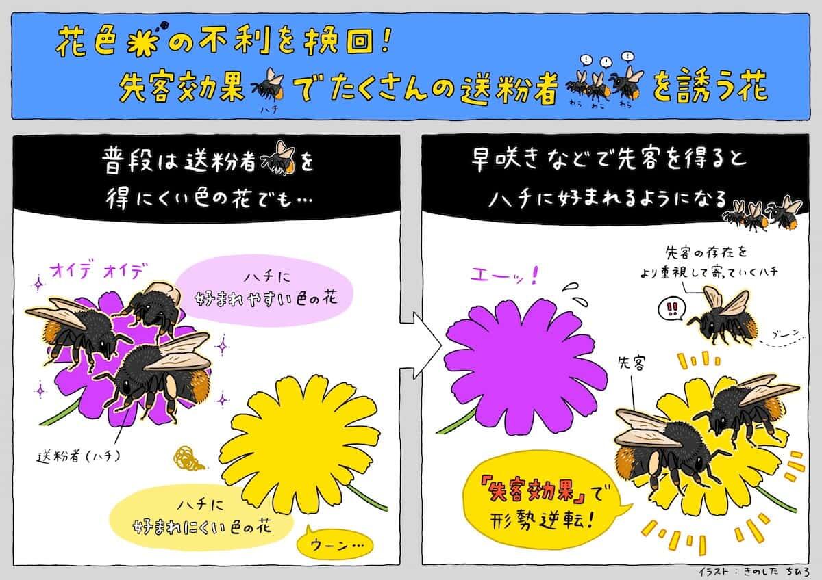 研究イメージ画像