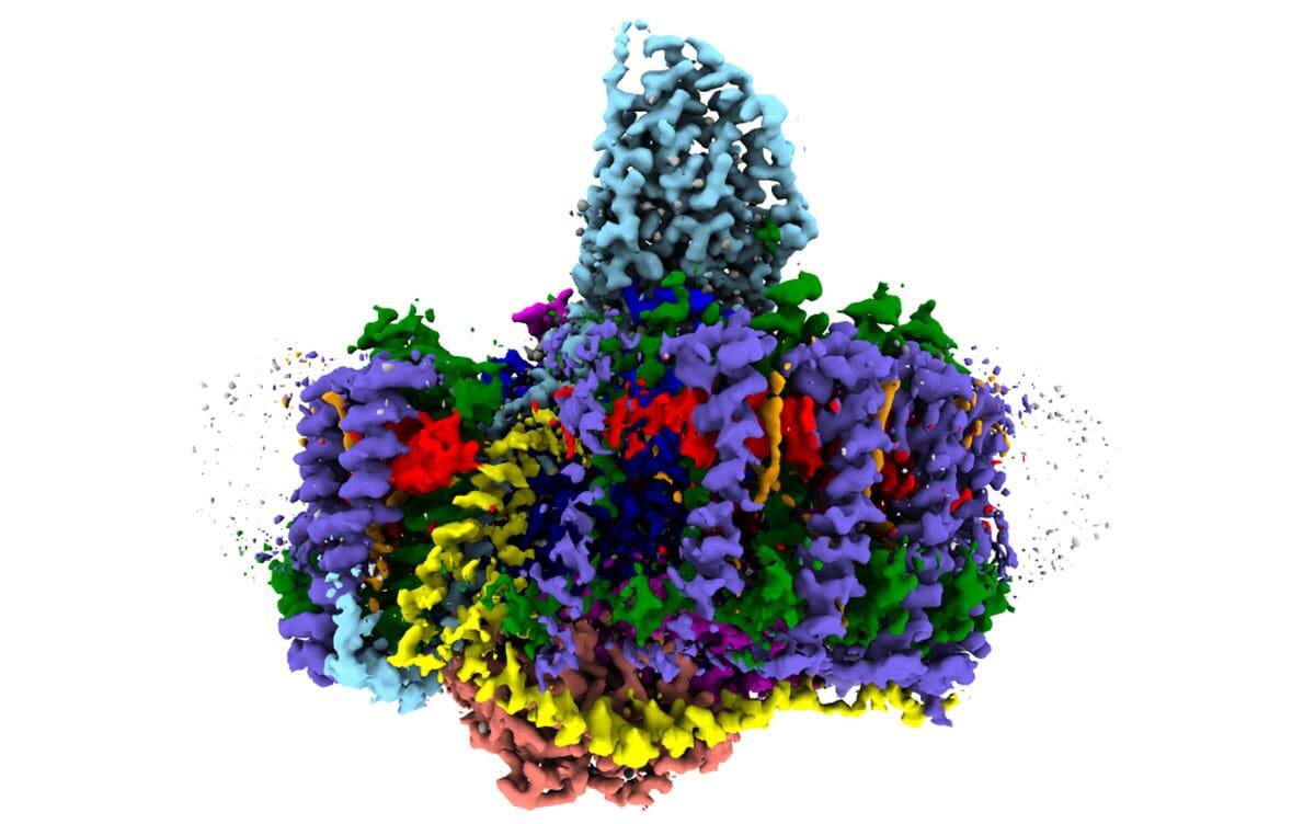 研究イメージ画像