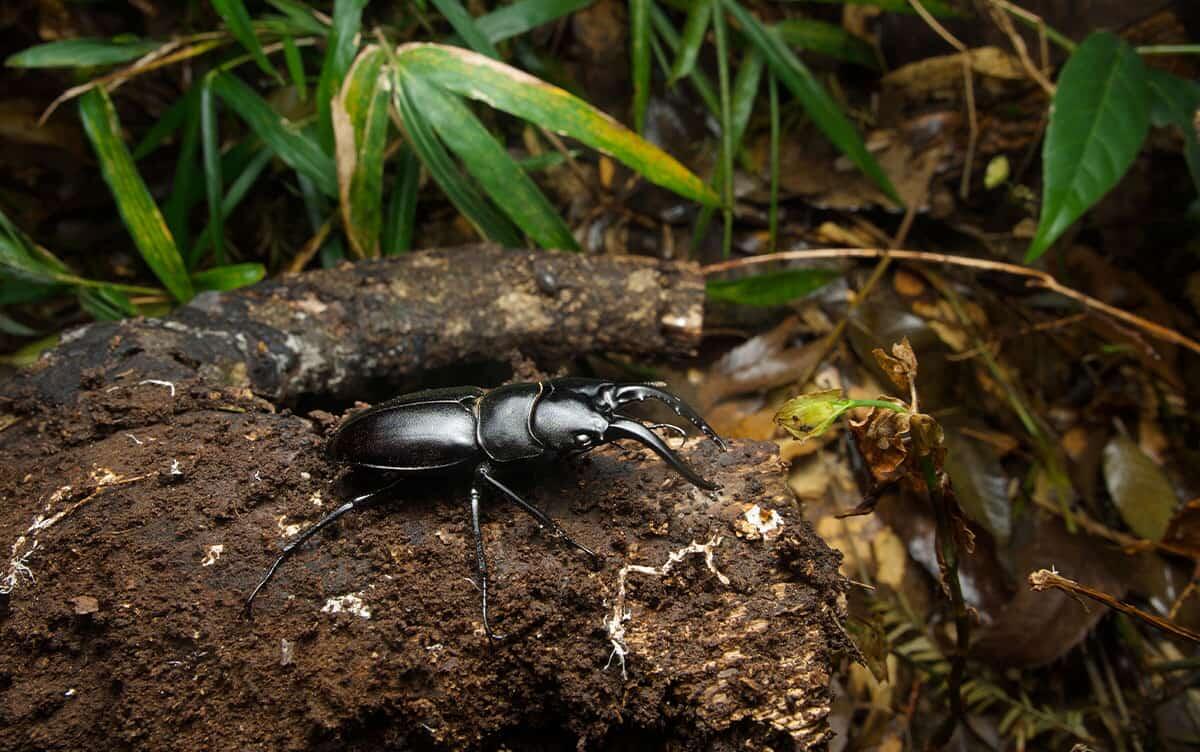 研究イメージ画像