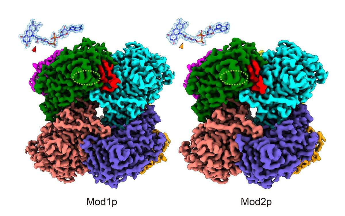 研究イメージ画像