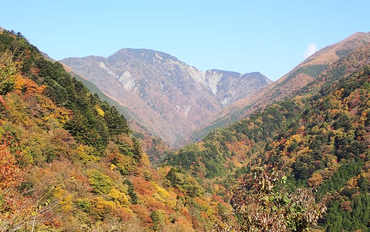 研究イメージ画像