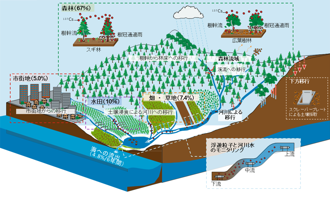 福島第一原発事故で放出された放射性物質の陸域環境中での動き