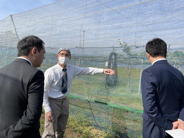 Guided tour of the farm by Assis. Prof. KATO