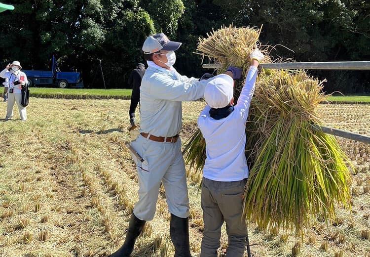 T-PIRC農場で地域の子供たちに稲刈り・脱穀体験実習を実施