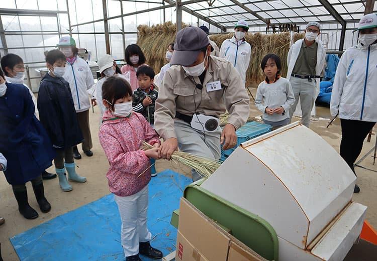 T-PIRC農場で地域の子供たちに稲刈り・脱穀体験実習を実施