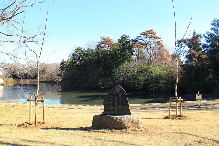 開学50周年を記念に植樹された桐の木と石碑