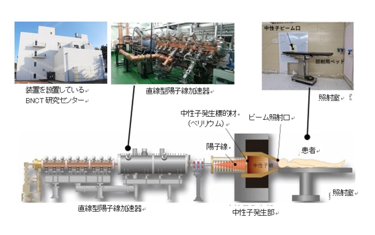 つくば型BNCT装置の仕組み
