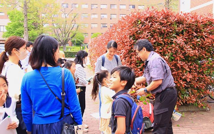 ミツバチ先生のむしムシ探検／構内植物ガイドツアー「みどり散歩」